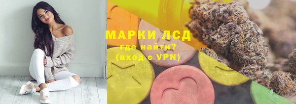 прущие грибы Белоозёрский