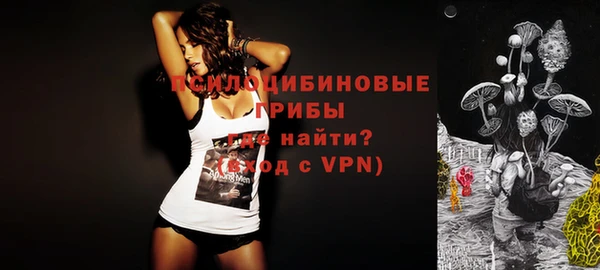 Альфа ПВП Богородицк