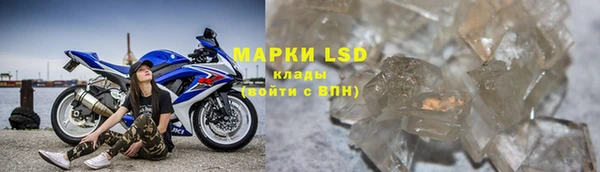 эйфоретик Бердск