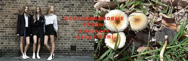 jwh Белокуриха