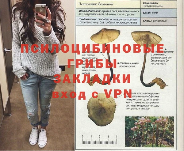 Альфа ПВП Богородицк