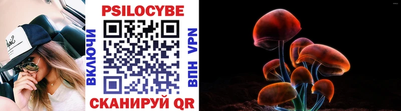 Псилоцибиновые грибы мицелий  Вуктыл 